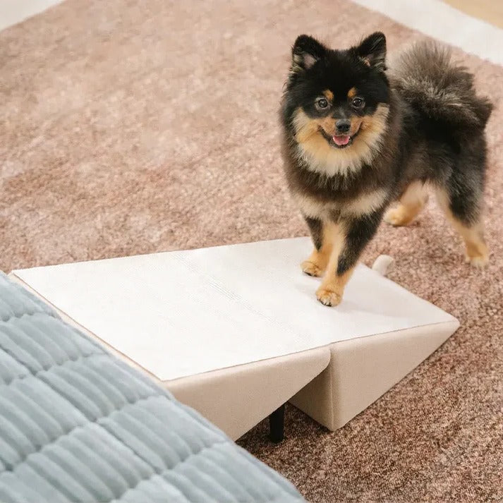 Pet Folding Ramp and Step Stool