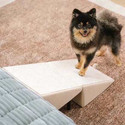 Pet Folding Ramp and Step Stool