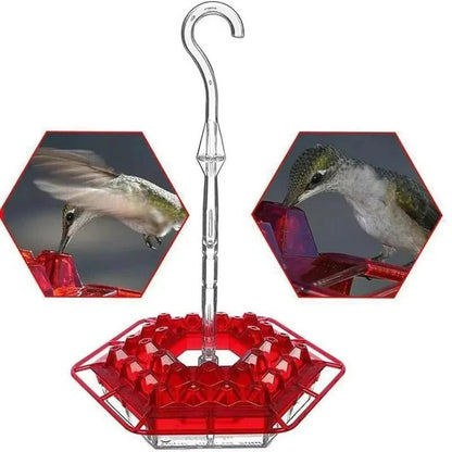 Colorful Outdoor Hanging Bird Feeder with Ant Trap