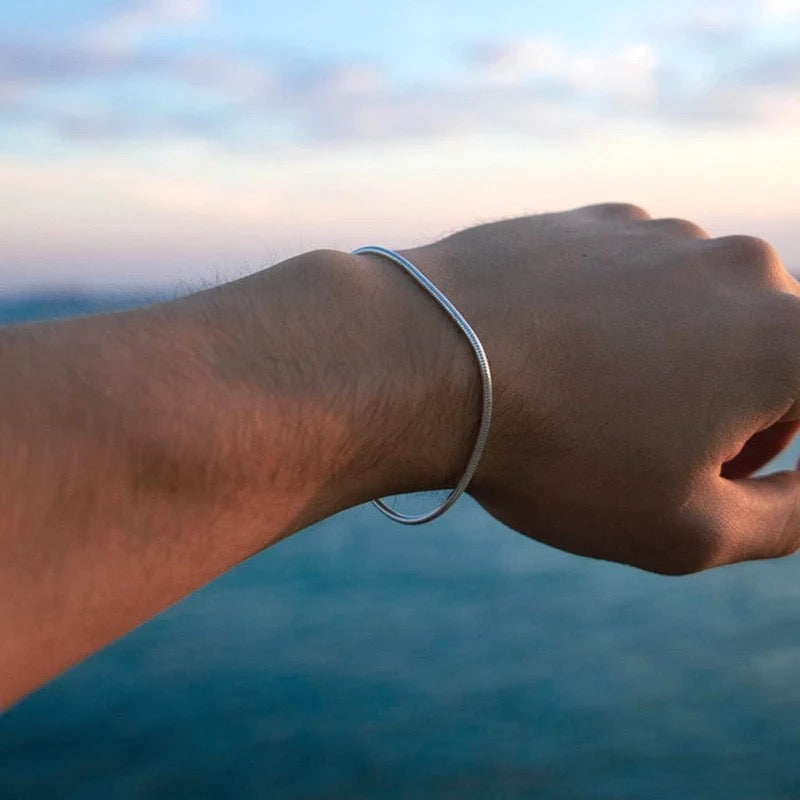 Simple Chain Bracelet with Snake Buckle - Pexav