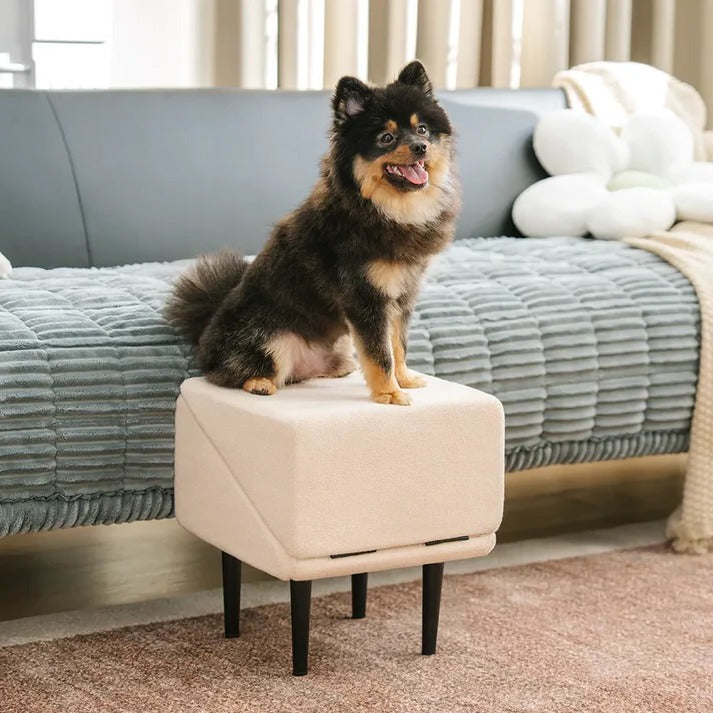 Pet Folding Ramp and Step Stool