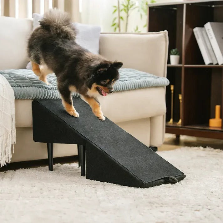 Pet Folding Ramp and Step Stool - Pexav