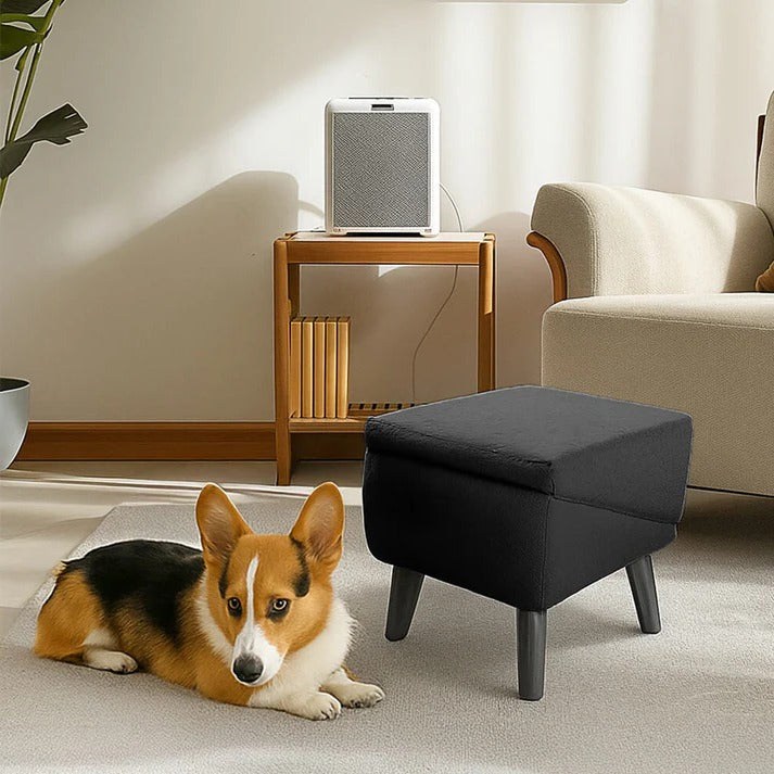 Pet Folding Ramp and Step Stool
