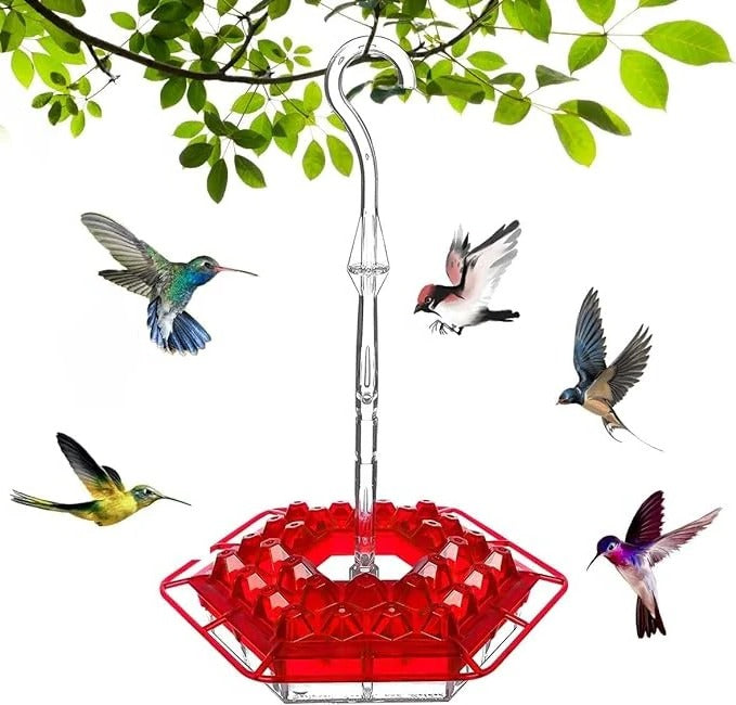 Colorful Outdoor Hanging Bird Feeder with Ant Trap