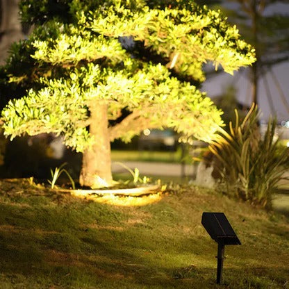 Bright Adjustable Outdoor Solar Light