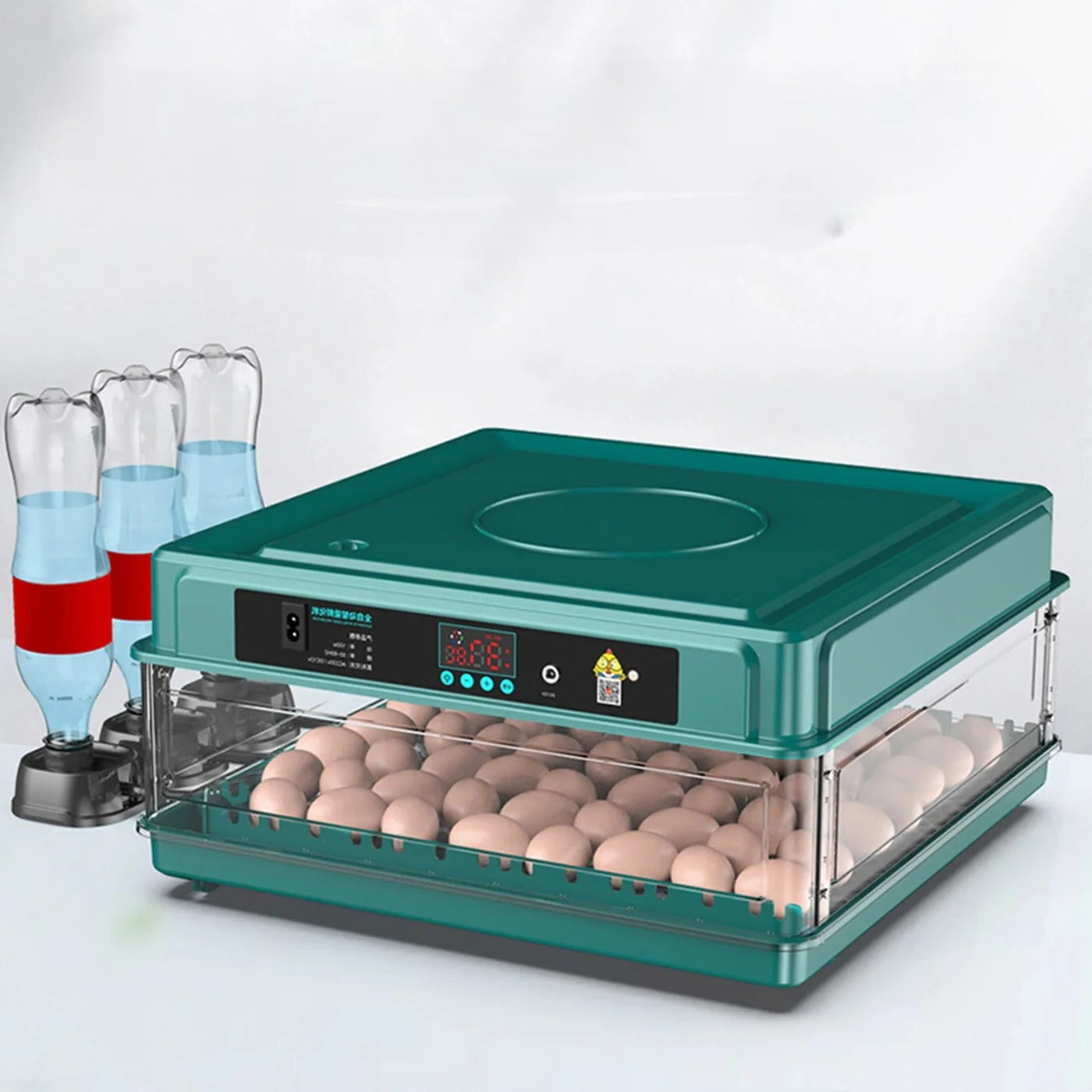 Automatic Egg Hatcher with LED Light & Turner - Pexav