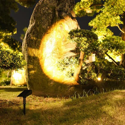 Bright Adjustable Outdoor Solar Light