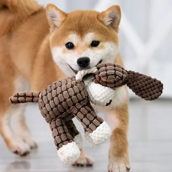 Durable Pet Chew Toy