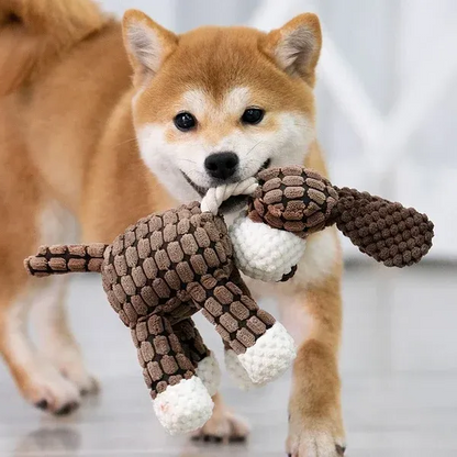 Durable Pet Chew Toy