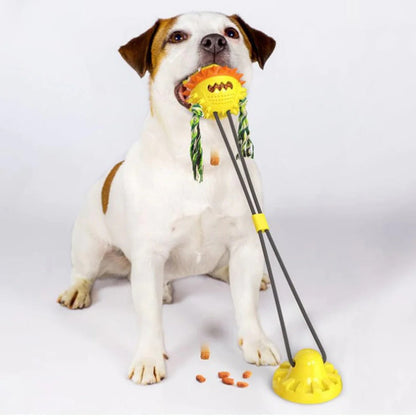 Fun Automatic Pet Play Toy