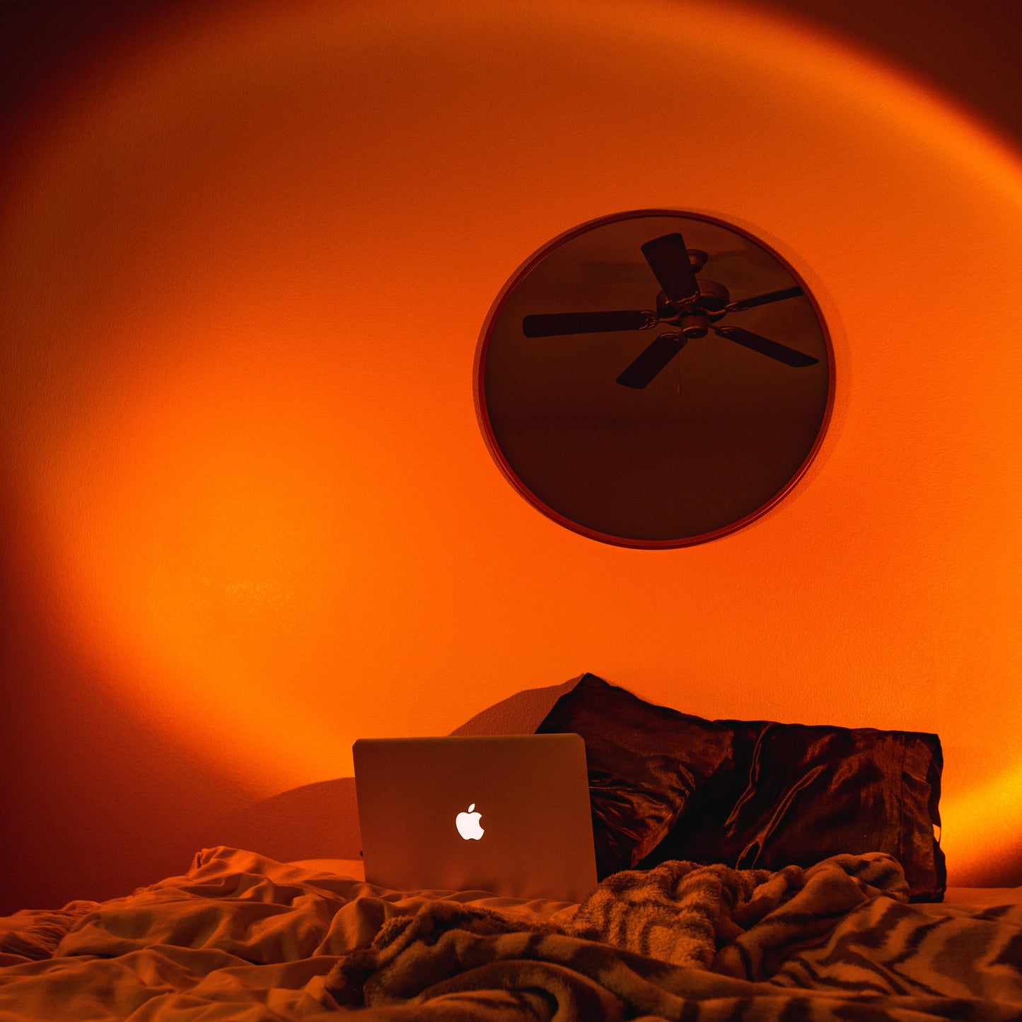 Colorful LED Table Lamp