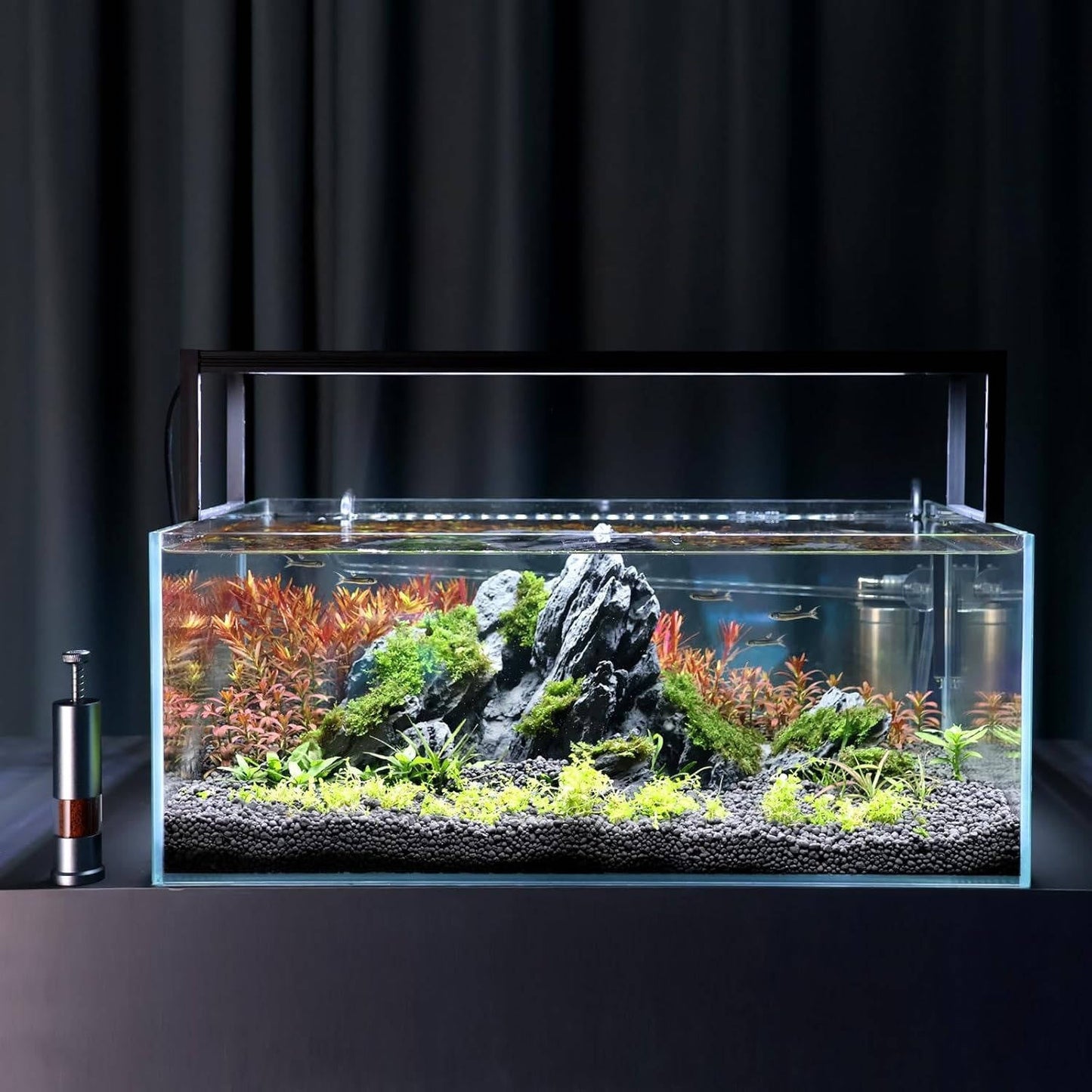 Small Automatic Fish Food Dispenser