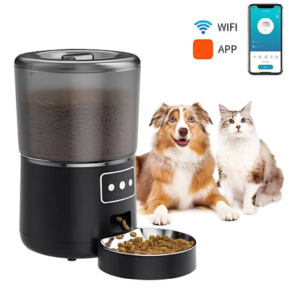 Programmable Digital Pet Food Dispenser For Cats Dogs - Pexav
