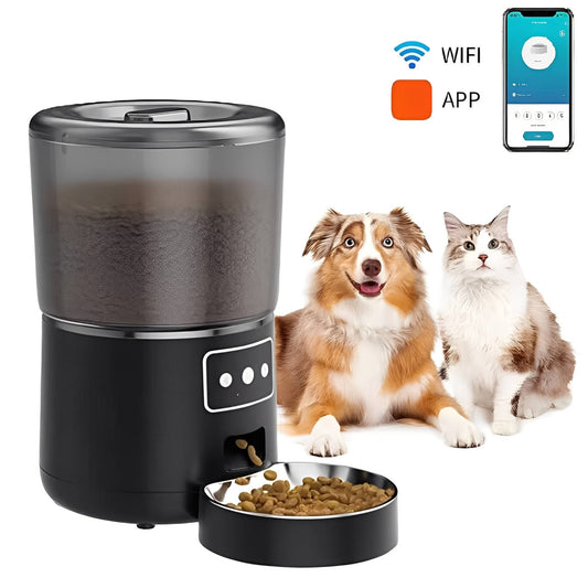 Programmable Digital Pet Food Dispenser For Cats Dogs - Pexav
