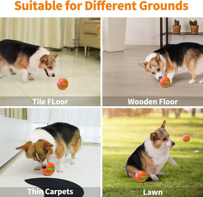 Fun Durable Pet Ball Toy