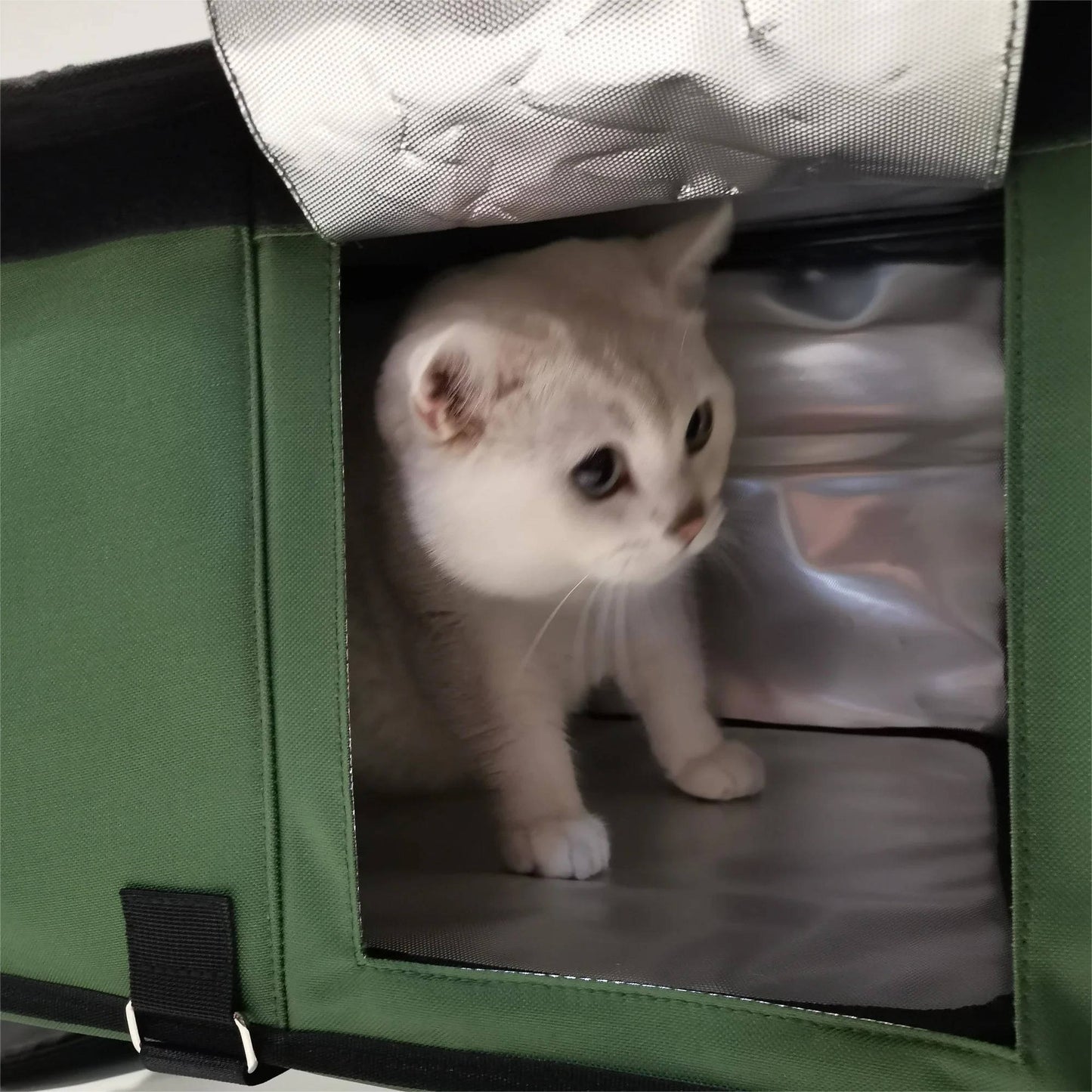 Warm Insulated Cat Shelter for Winter