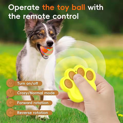 Fun Durable Pet Ball Toy