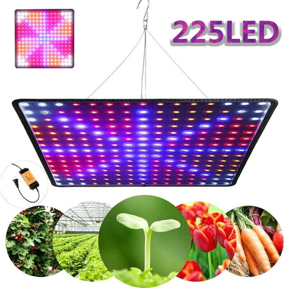 Bright Floor Lamp for Indoor Garden Plants