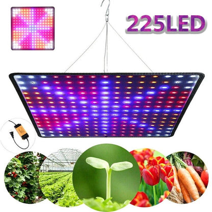 Bright Floor Lamp for Indoor Garden Plants