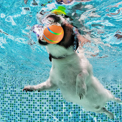 Fun Durable Pet Ball Toy
