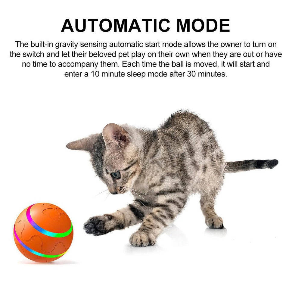 Fun Durable Pet Ball Toy