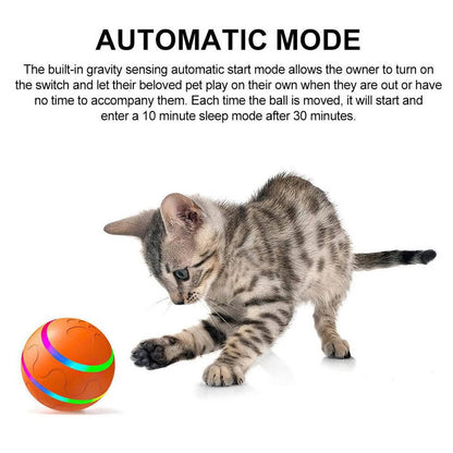 Fun Durable Pet Ball Toy