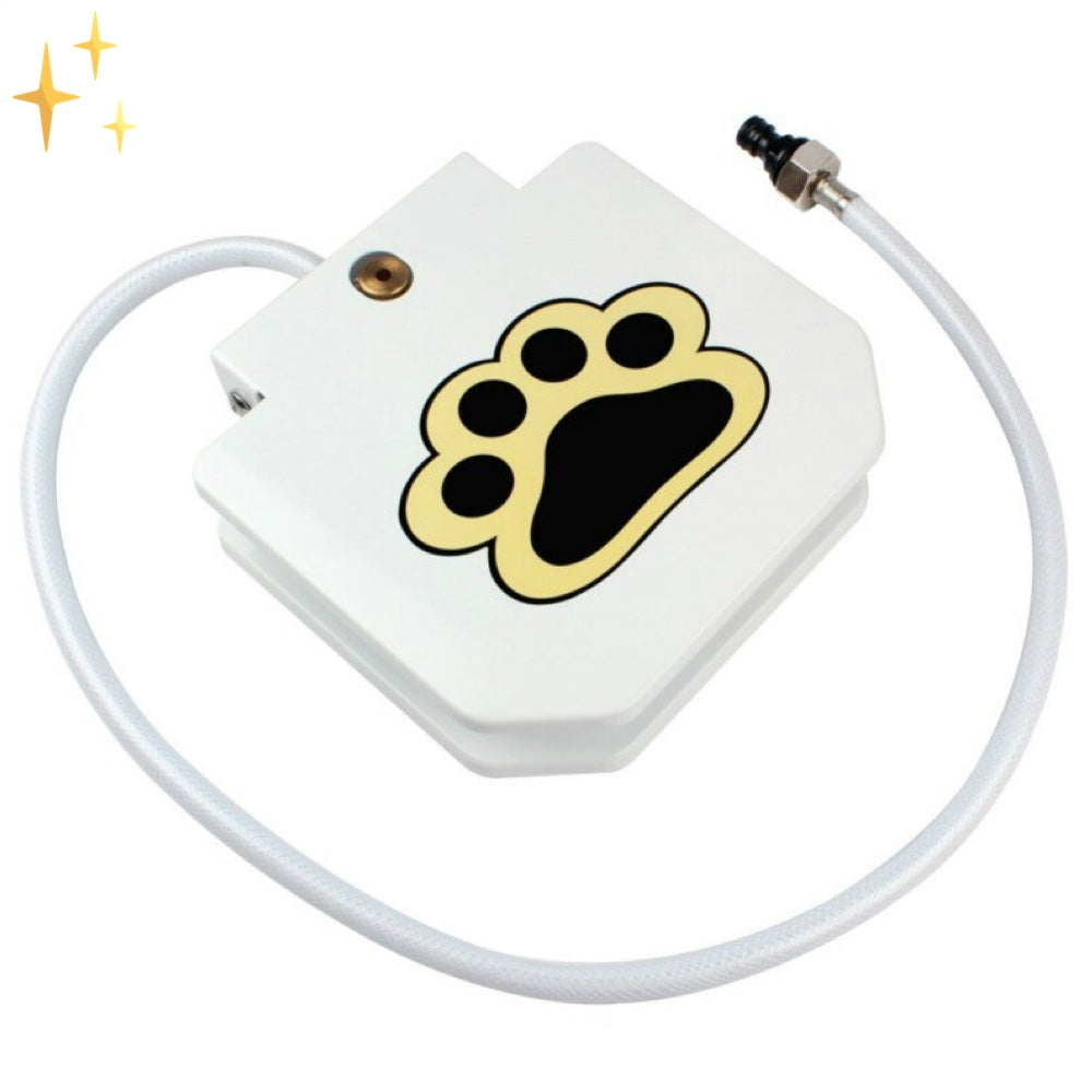 Interactive Dog Fountain Toy - PawSplash-Nora Luxe