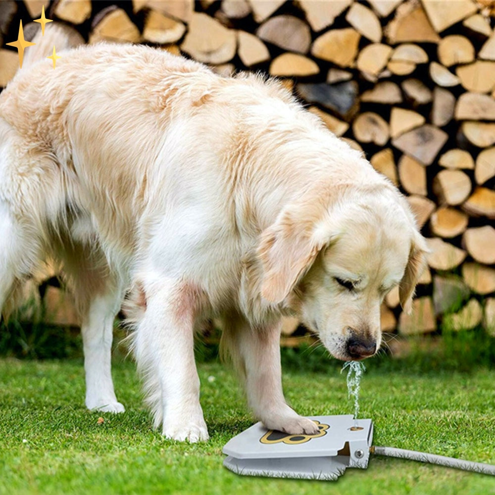 Fun Pet Water Fountain Playset - Pexav