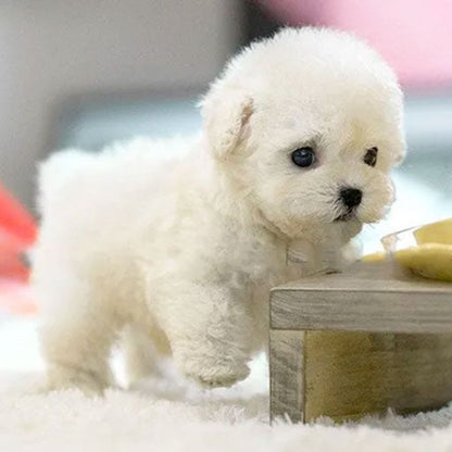Fun Electronic Pet Dog Toy for Children