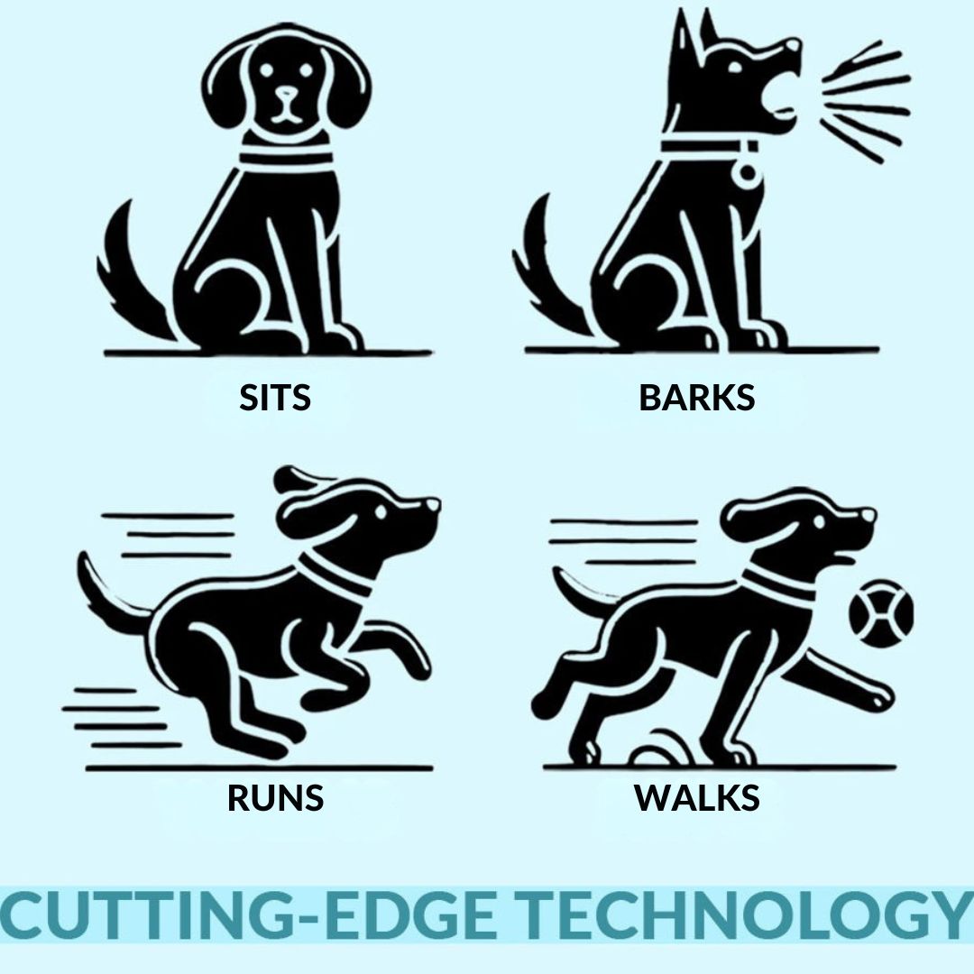 Fun Interactive Pet Toy Dog