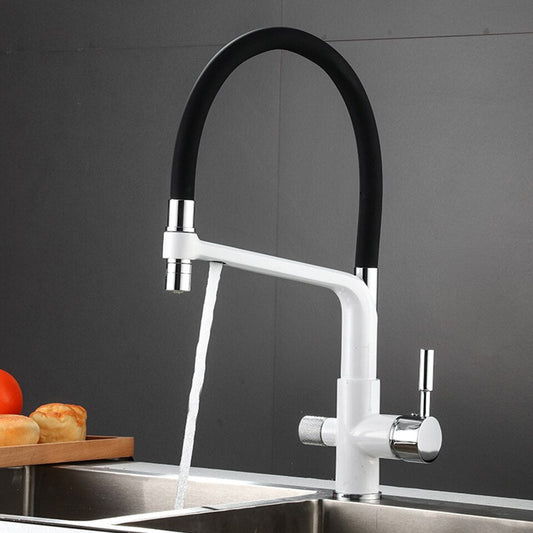 Dual Outlet Kitchen Faucet with Water Purifier - Pexav