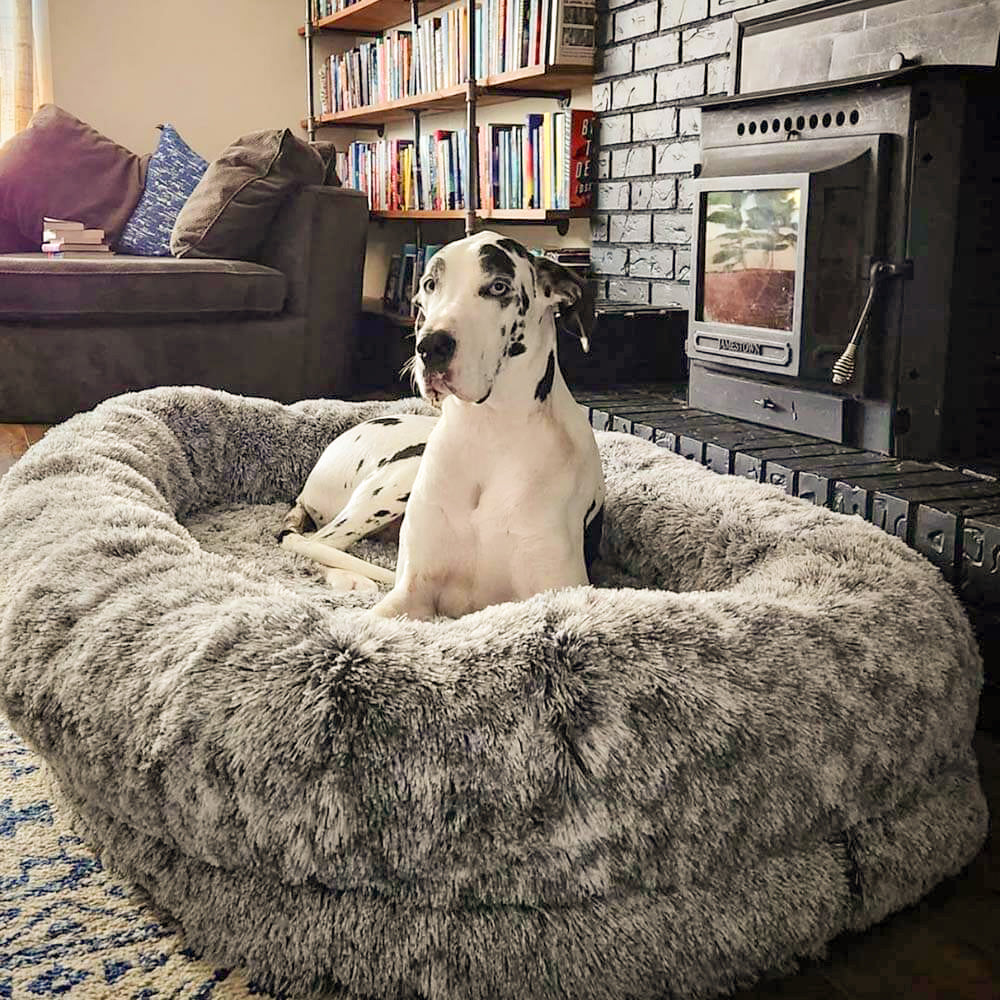 Extra Large Plush Pet Oval Bed for Humans Dogs