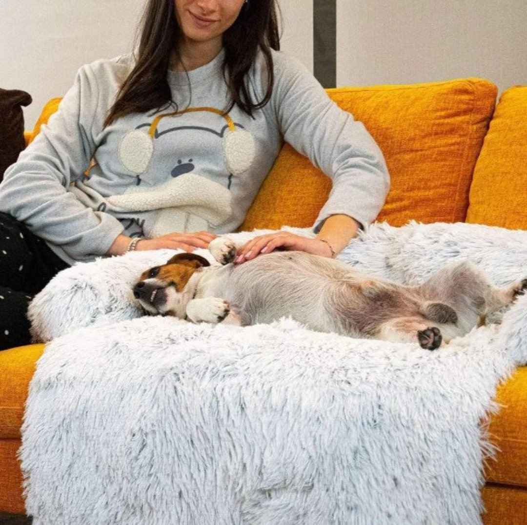 Comfy Pet Couch Bed - PawLounge - Pexav