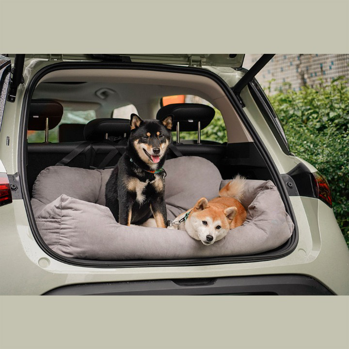Comfortable Pet Travel Bed - PawsRest - Pexav