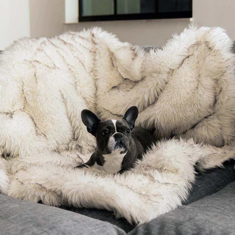 Soft Waterproof Pet Throw Blanket - Pexav
