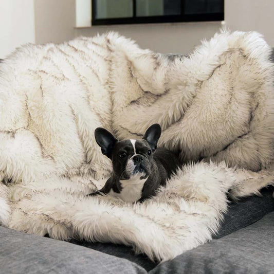 Soft Waterproof Pet Throw Blanket - Pexav