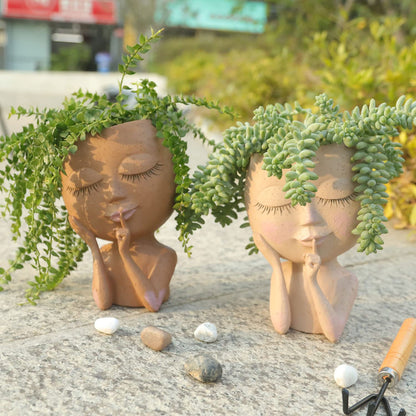 Beautiful Garden Flower Pot - Pexav