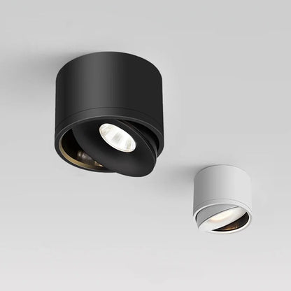 Adjustable Ceiling Spot Light Rotating Mount Fixture