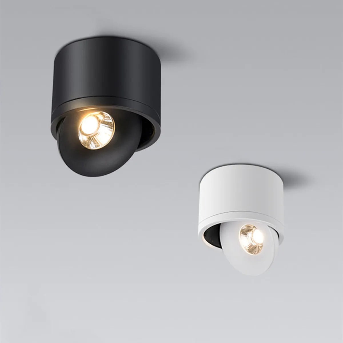 Adjustable Ceiling Spot Light Rotating Mount Fixture