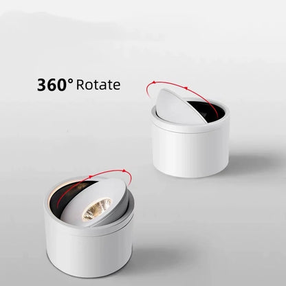 Adjustable Ceiling Spot Light Rotating Mount Fixture