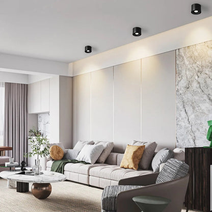 Adjustable Ceiling Spot Light Rotating Mount Fixture