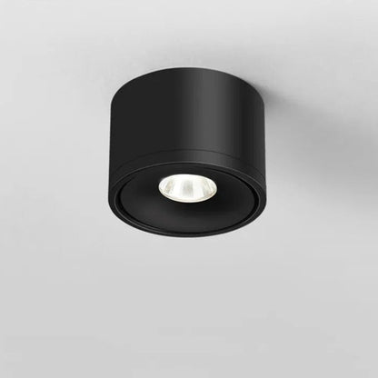 Adjustable Ceiling Spot Light Rotating Mount Fixture
