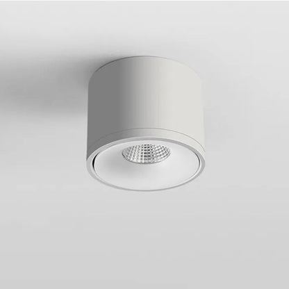 Adjustable Ceiling Spot Light Rotating Mount Fixture