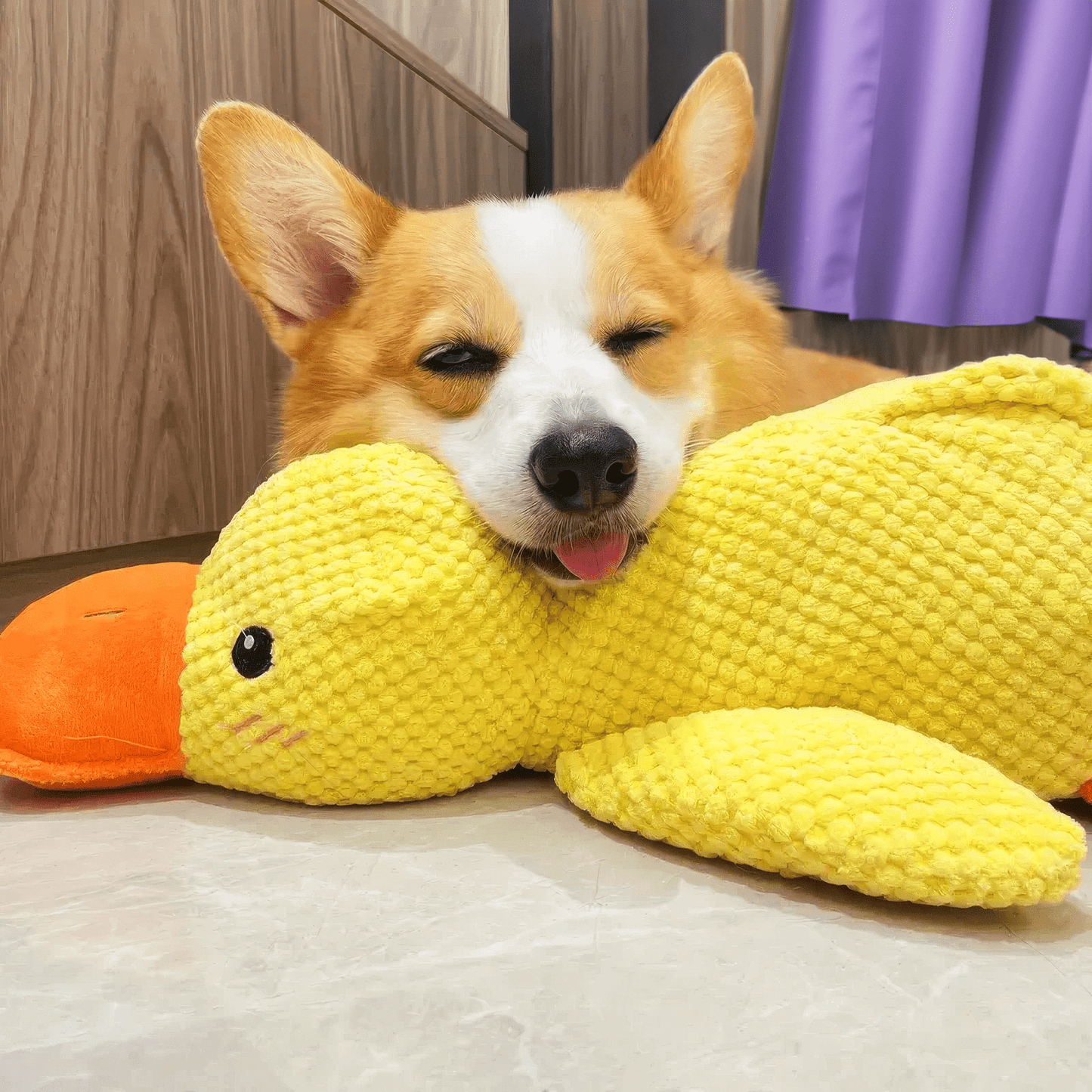 Tough Rubber Dog Toy for Fun Playtime
