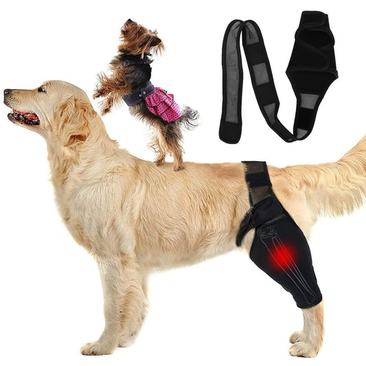 Comfortable Pet Knee Support Wrap for Dogs - Pexav