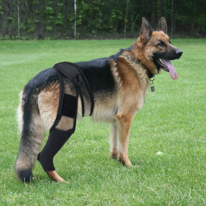 Comfortable Pet Knee Support Wrap for Dogs