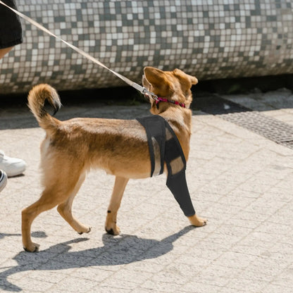 Comfortable Pet Knee Support Wrap for Dogs