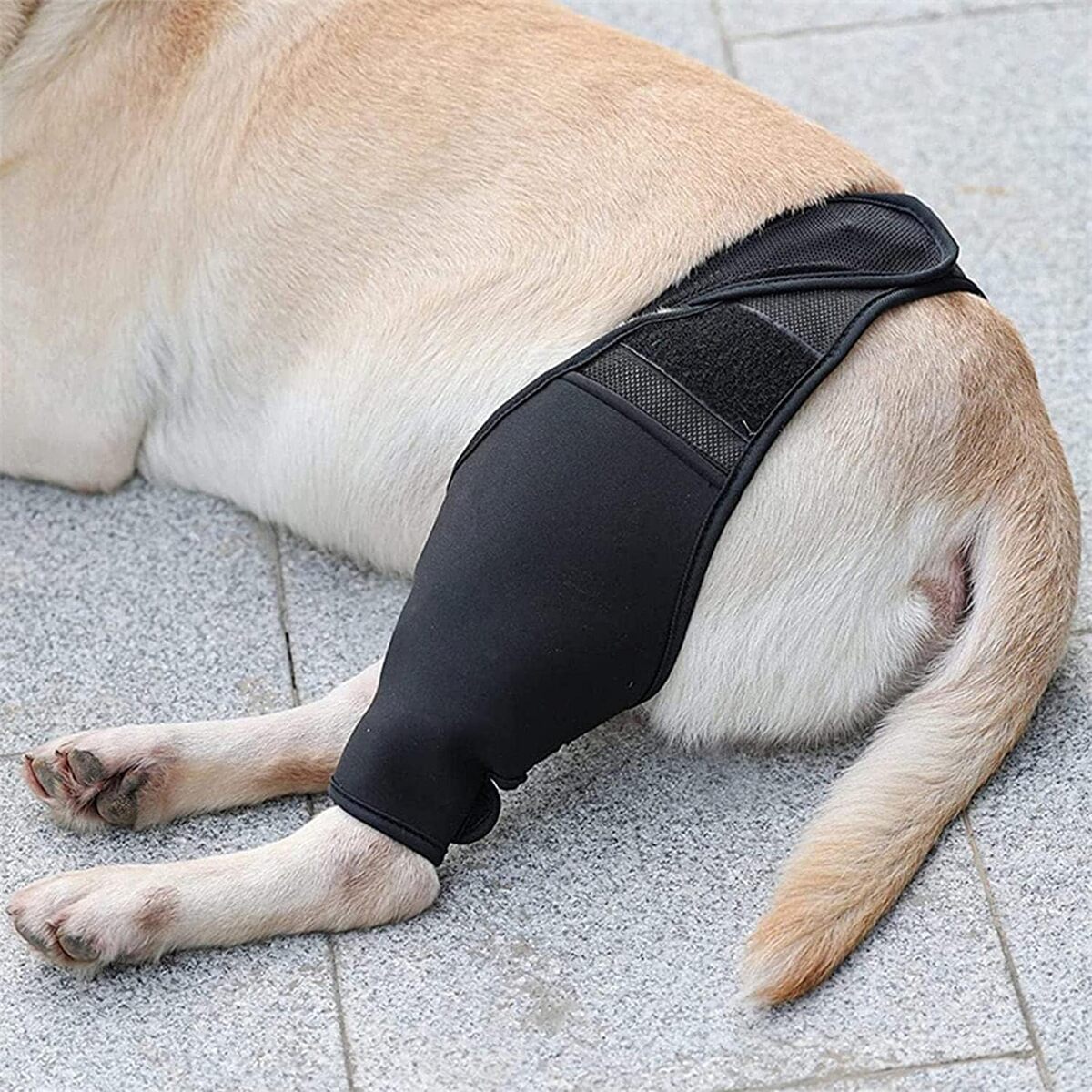 Comfortable Pet Knee Support Wrap for Dogs
