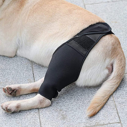 Comfortable Pet Knee Support Wrap for Dogs