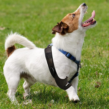 Comfortable Pet Knee Support Wrap for Dogs